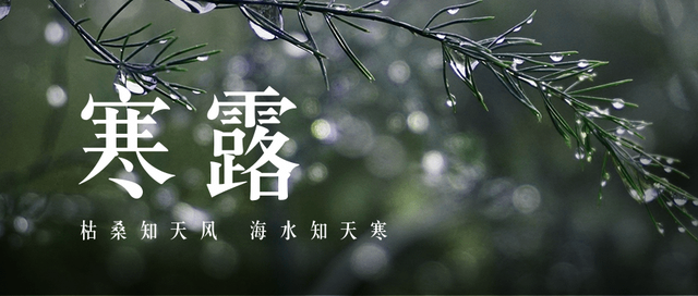 寒露|裊裊涼風(fēng)動，凄凄寒露零